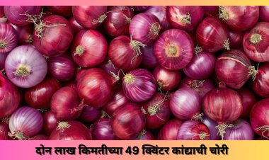 दोन लाख किमतीच्या ४९  क्विंटल  कांद्याची चोरी