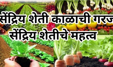 रासायनिक युगात सेंद्रियाची गरज