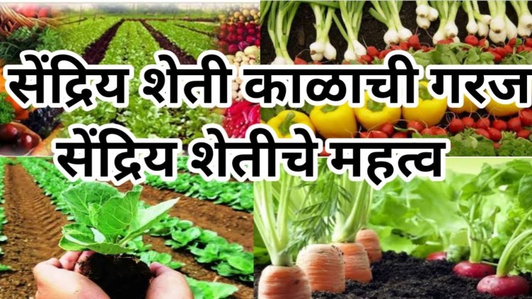 रासायनिक युगात सेंद्रियाची गरज